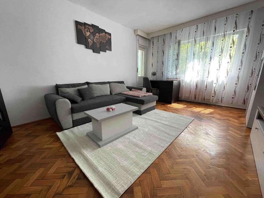 Apartament Zona Centrala Punctele Cardinale -Take Ionescu Timisoara Lejlighed Eksteriør billede