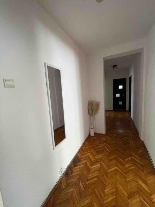Apartament Zona Centrala Punctele Cardinale -Take Ionescu Timisoara Lejlighed Eksteriør billede