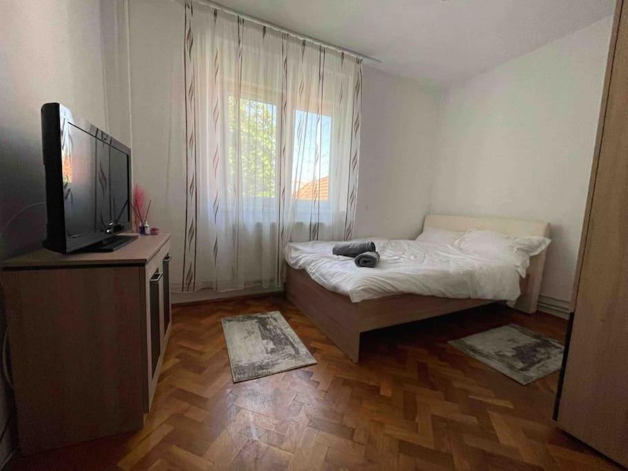 Apartament Zona Centrala Punctele Cardinale -Take Ionescu Timisoara Lejlighed Eksteriør billede