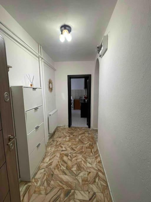 Apartament Zona Centrala Punctele Cardinale -Take Ionescu Timisoara Lejlighed Eksteriør billede